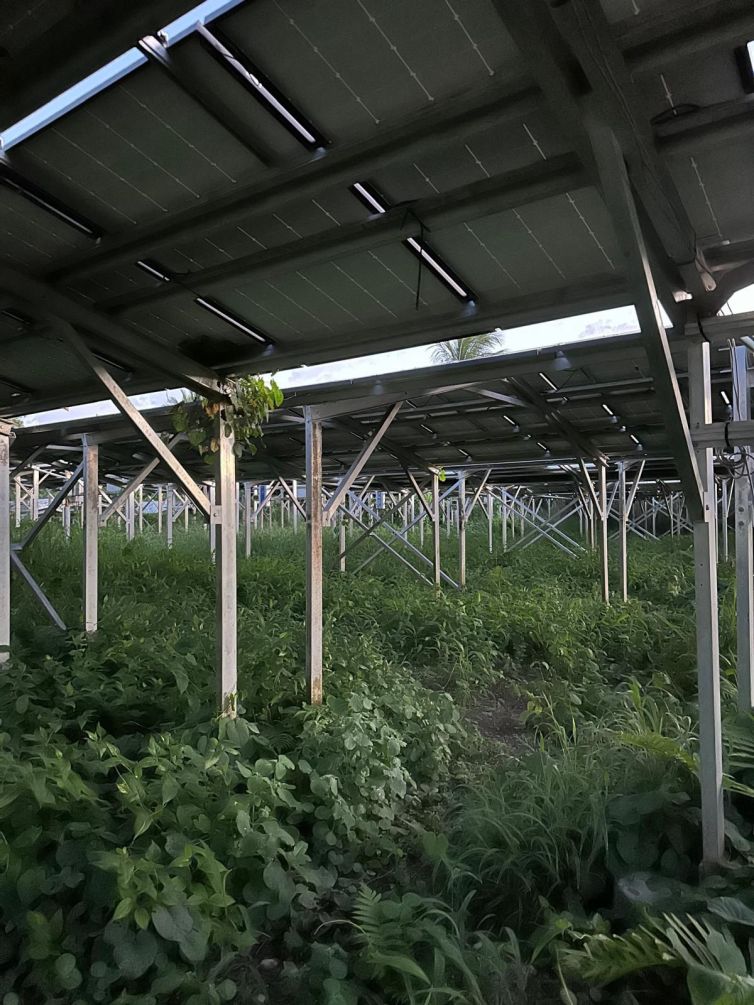 Installation panneaux solaires Corse, France et DOM-TOM